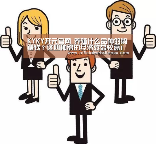 KYKY开元官网_养殖什么品种的鹅赚钱?这四种鹅的经济效益较高!(图2) KYKY开元官网