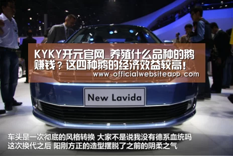 KYKY开元官网_养殖什么品种的鹅赚钱?这四种鹅的经济效益较高!(图1) KYKY开元
