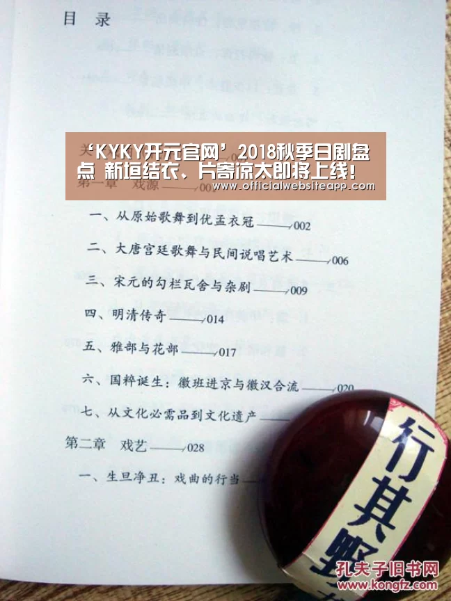 ‘KYKY开元官网’2018秋季日剧盘点 新垣结衣、片寄凉太即将上线!(图4) KYKY开元