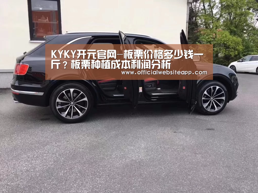 KYKY开元官网-板栗价格多少钱一斤?板栗种植成本利润分析(图2) 开元集团网站官网
