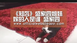 《知否》盛家四姐妹嫁的人是谁 盛家四姐妹结局盘点|开元集团网站官网(图3) KYKY开元官网
